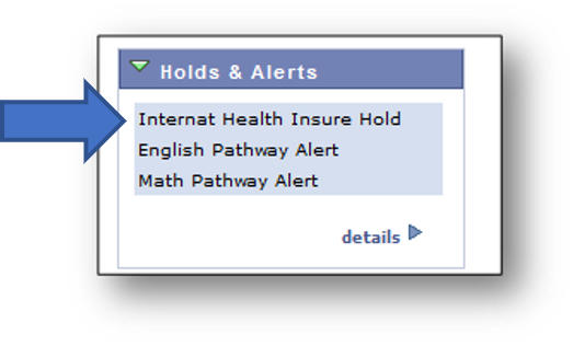 A screenshot example of the international insurance hold