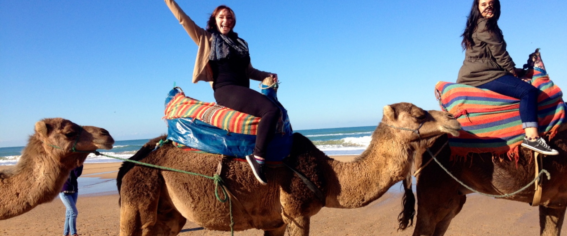 Two students on camels