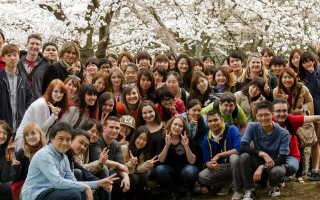 SF State students gathering in front of cherry blossom trees