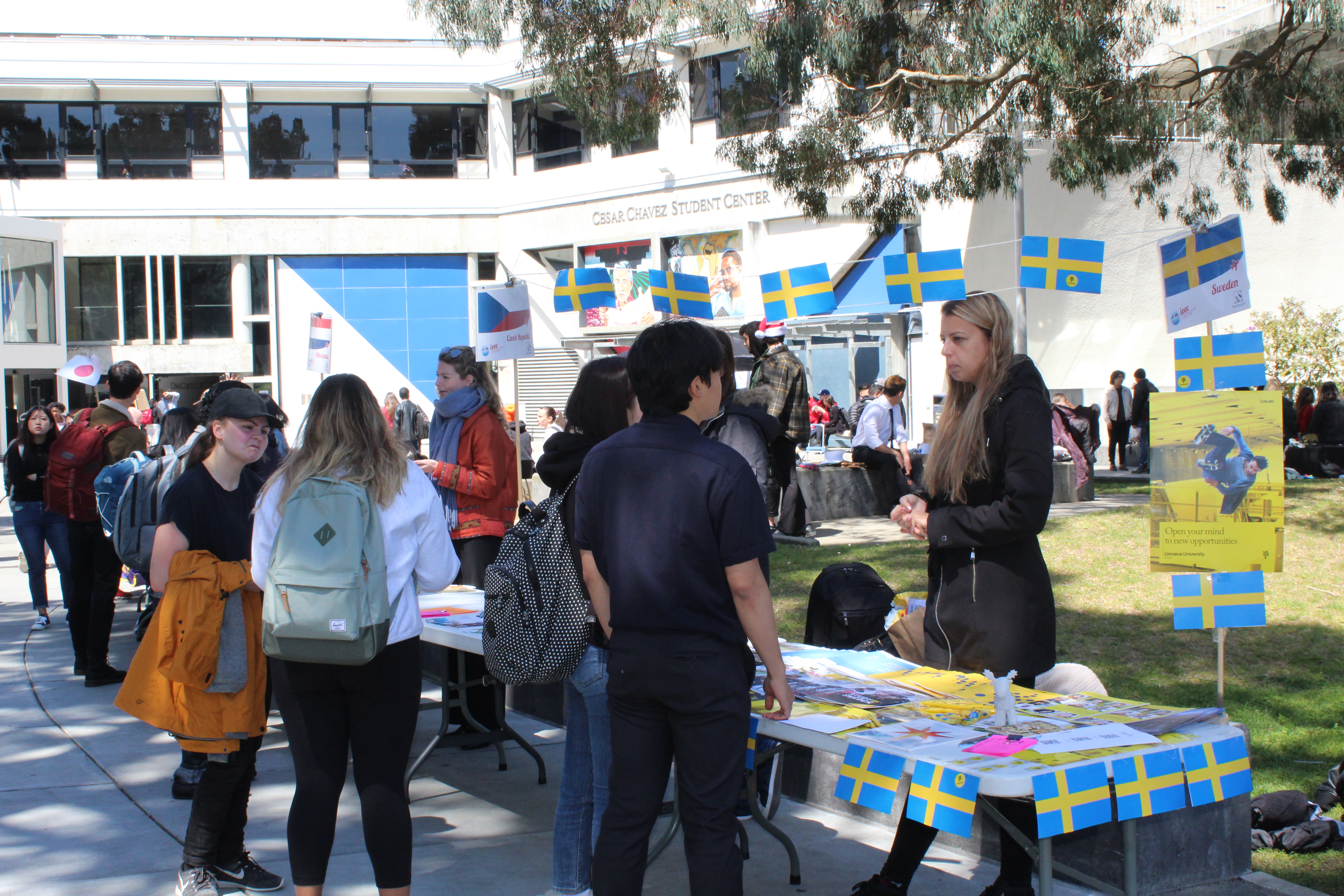 Students gathered around the Sweden table.