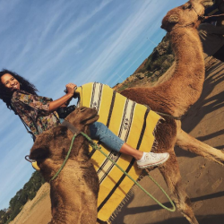 Student on a camel